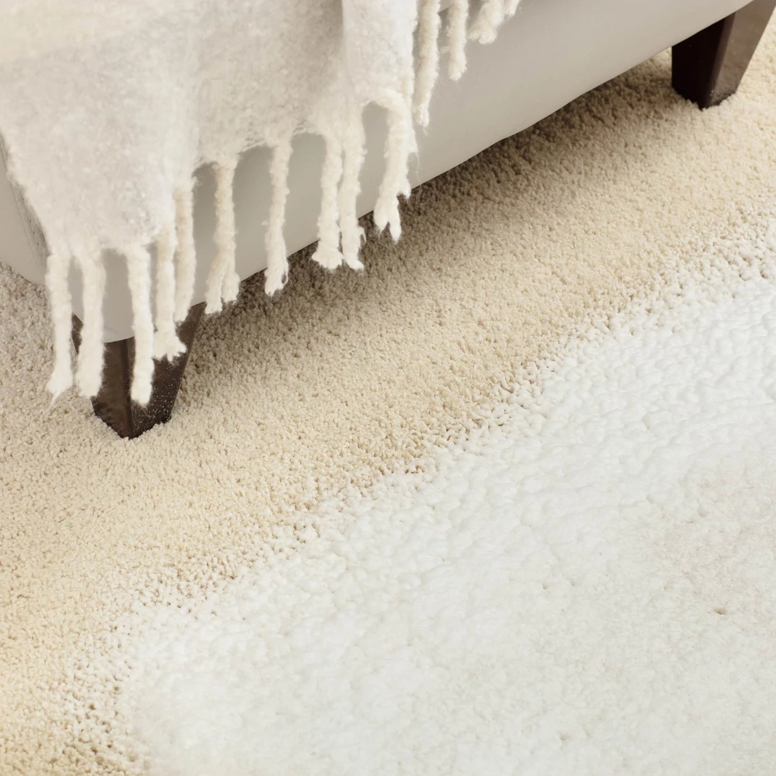 Flash Sale ???? Woolite Heavy Traffic Rug Foam Cleaner With Scotchgard 22 Oz ???? - Image 3